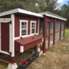 large chicken coop