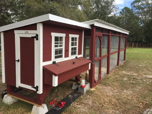 large chicken coop